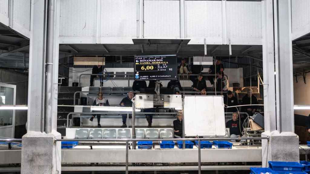 La subhasta en la Lonja del Port de Barcelona