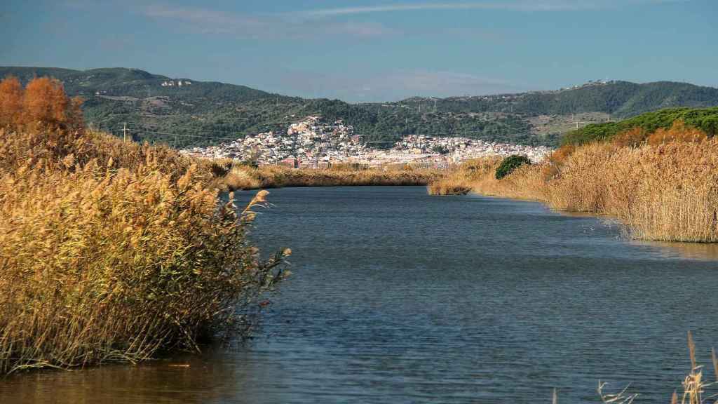 El parc natural del Delta del Llobregat en una imatge d'arxiu