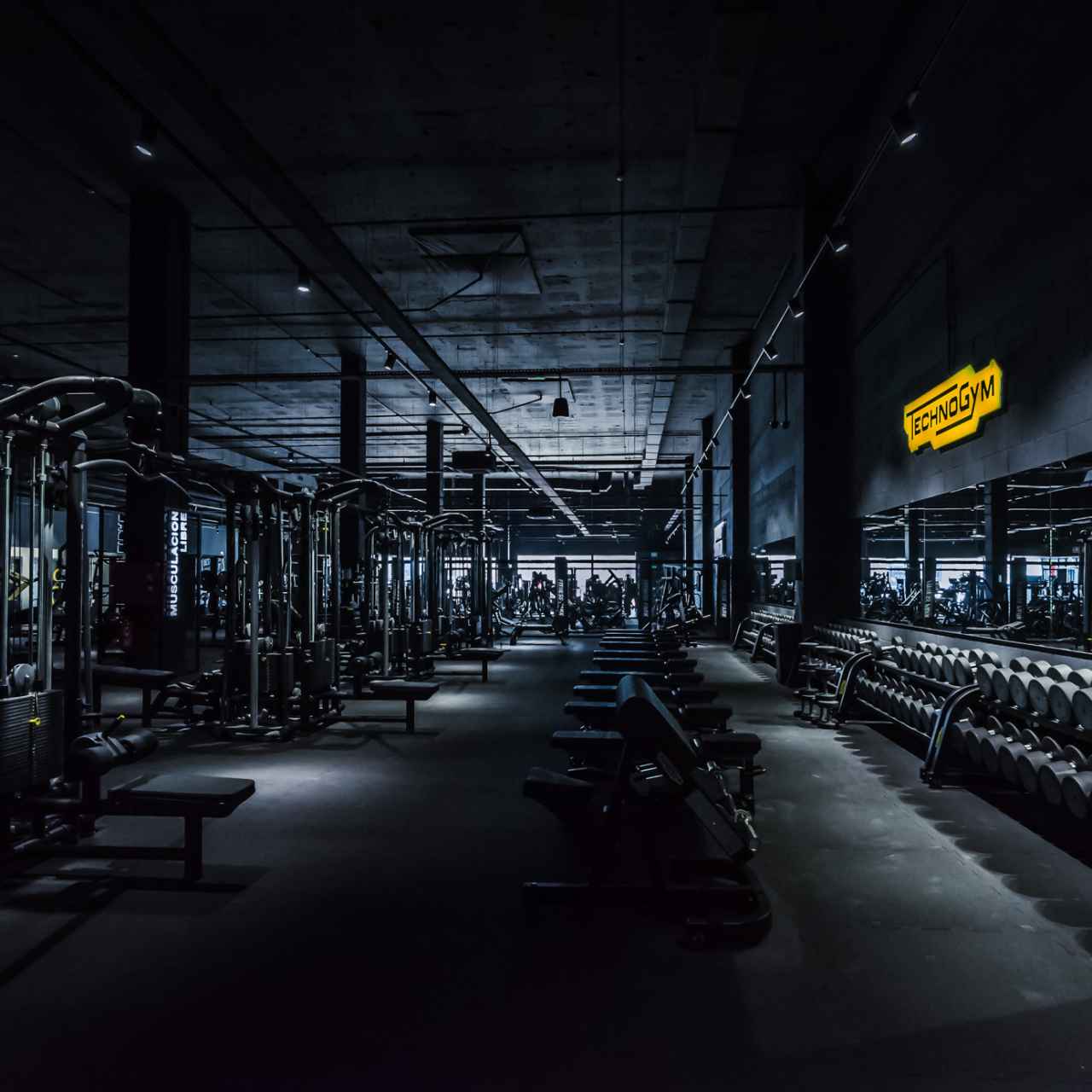 Interior d'un gimnàs Fitness Park