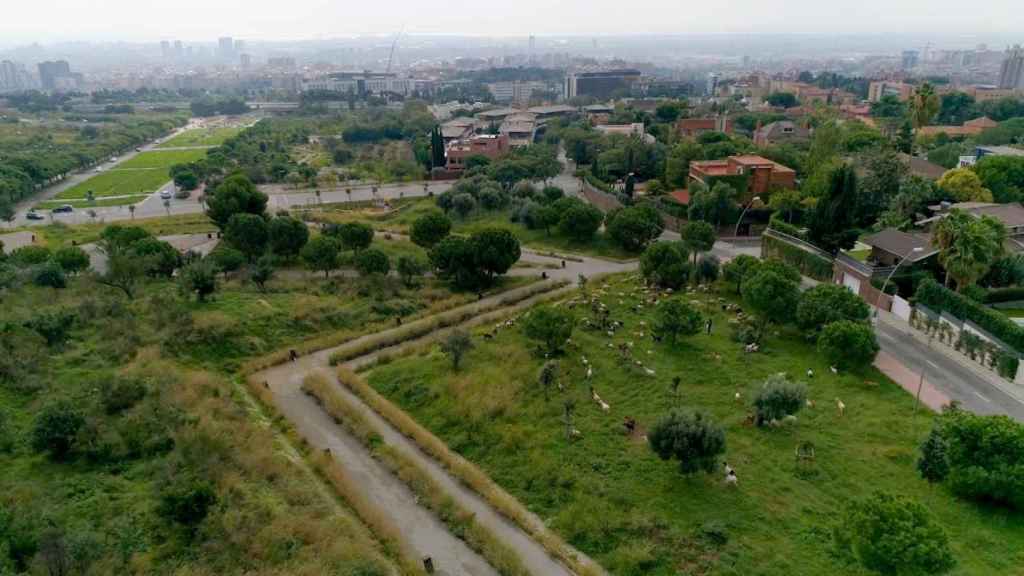 Ámbito de Finestrelles