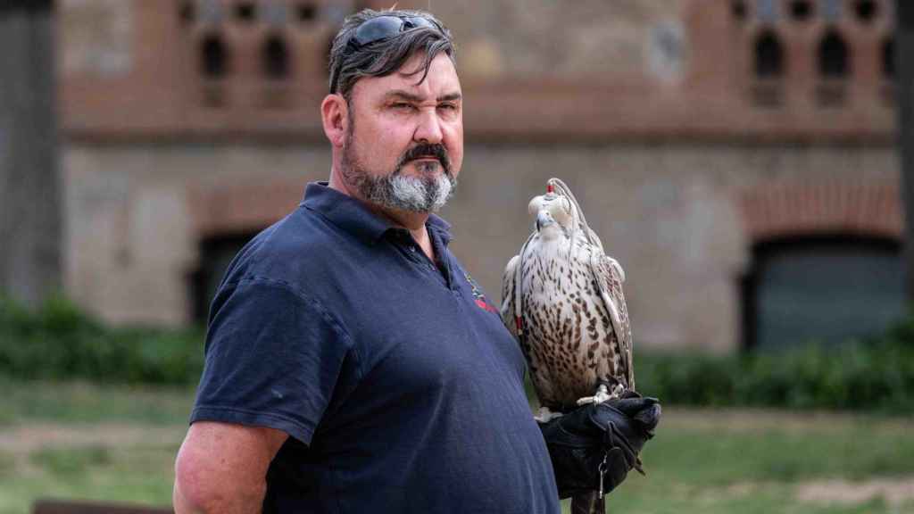 Uno de los técnicos sostiene una de las aves rapaces