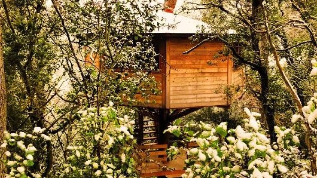Casa en el árbol