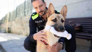 Fénix, el perro maltratado de Sant Boi rescatado por la Policía Local