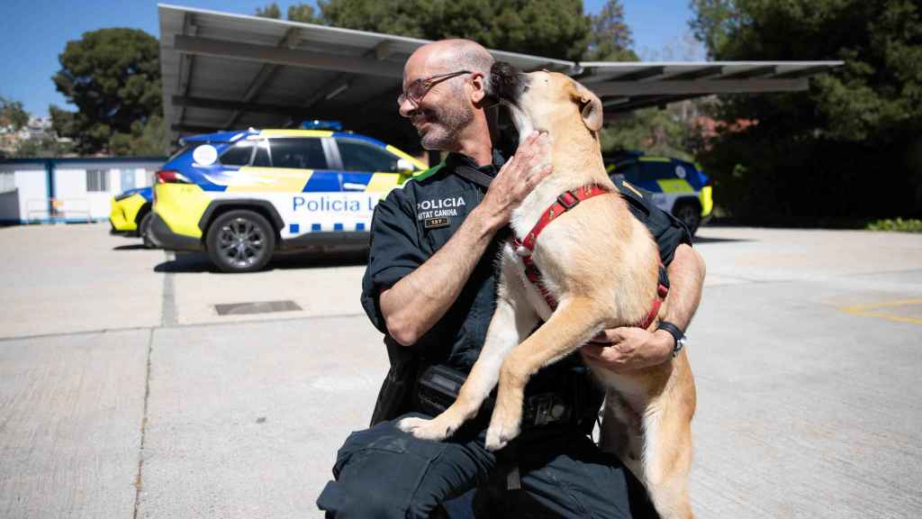 Fénix, el perro rescatado por la Policía Local de Sant Boi, con Raúl Carrillo