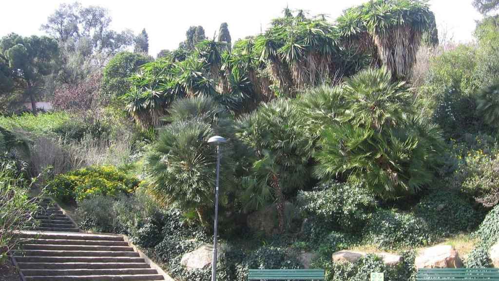 Parque del Turó Putxet i el Farró