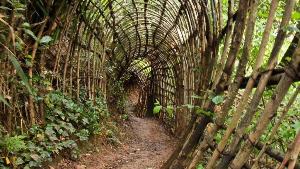 Cabañas de Argelaguer