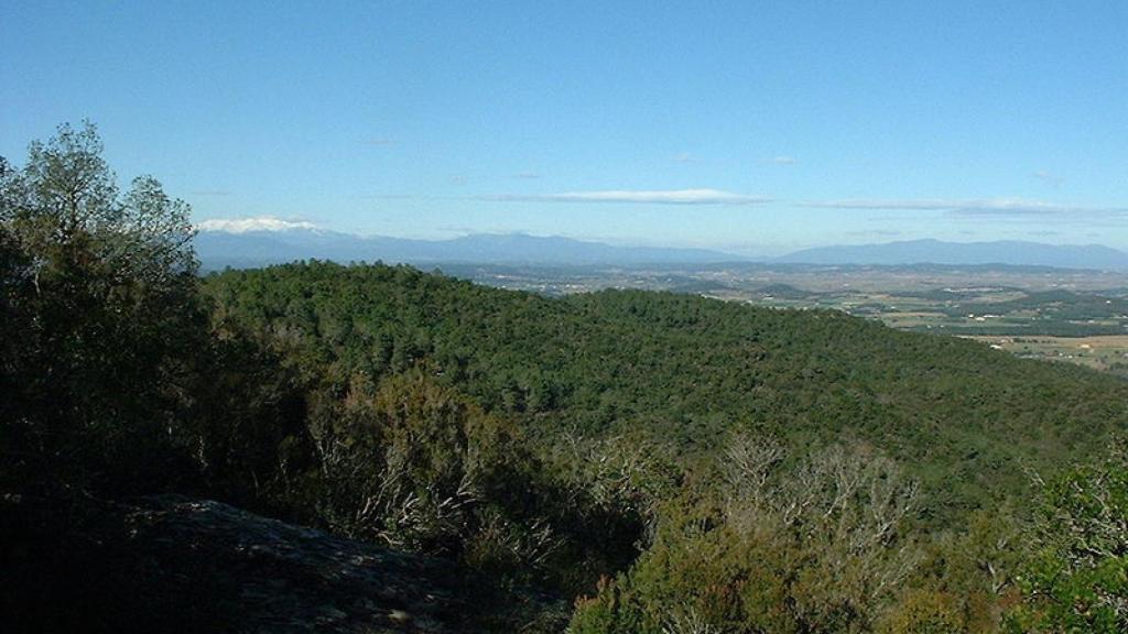 Las Gavarras (vista desde la Serra de Cals)