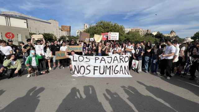 La manifestación más surrealista de Barcelona: los 'anti-pajaristas'se congregan en la plaza de Catalunya
