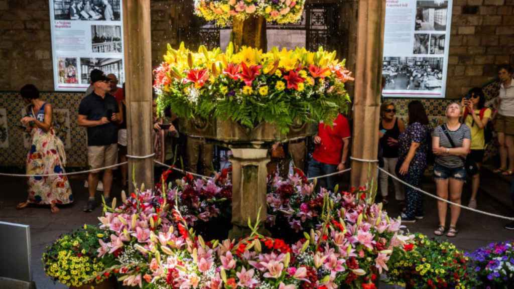 Celebració Ou com balla en una edició anterior