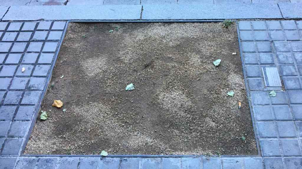 Test buit en una imatge d'arxiu