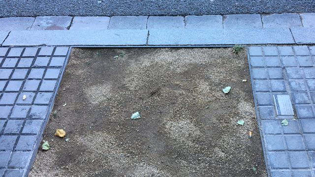 Alcorque vacío en Les Corts