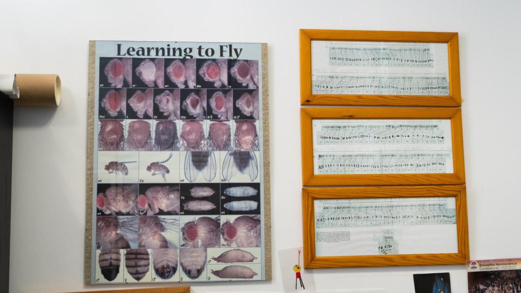 Despacho del doctor Cayetano González