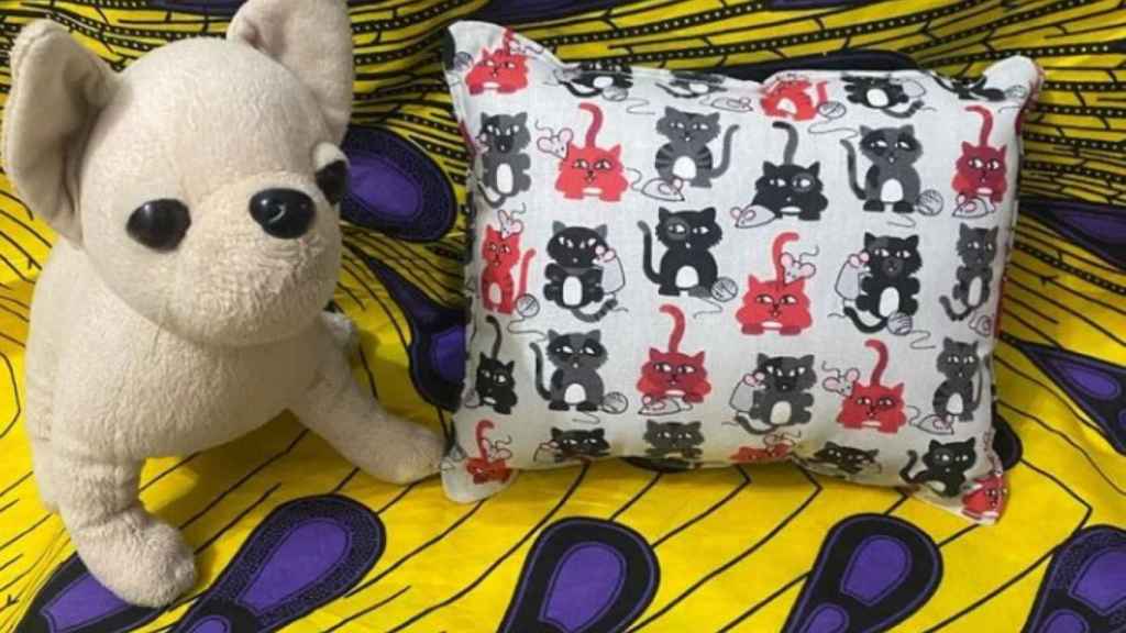 Un peluche y un cojín de la costura de David