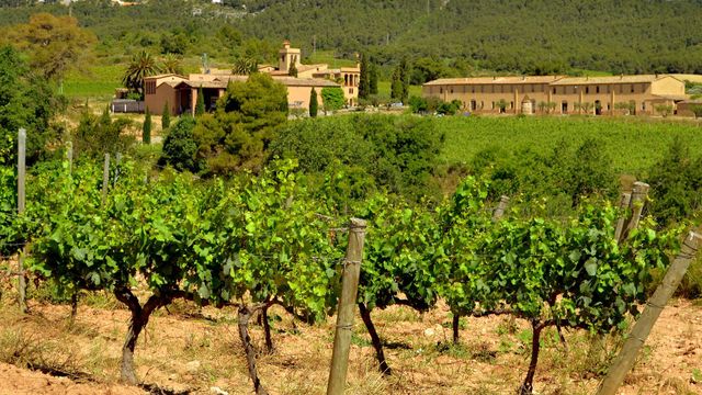Los campos de Cabrera d'Anoia