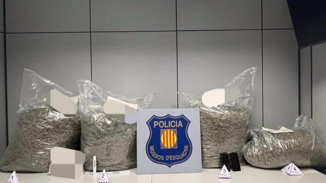 Sacos de marihuana requisados por los Mossos d'Esquadra