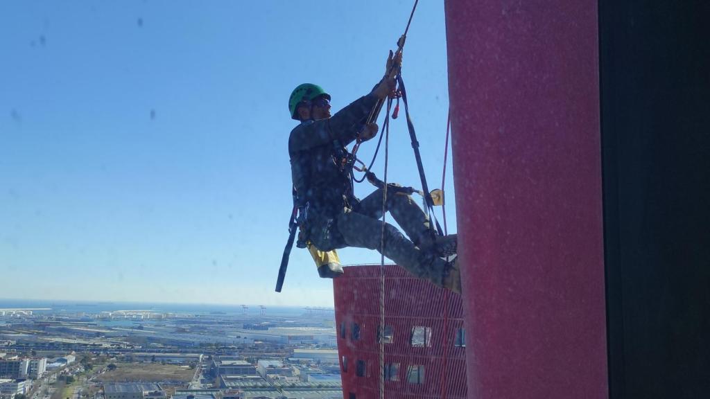 Uno de los técnicos de Galanthus accede a uno de los nidos de halcones en Barcelona
