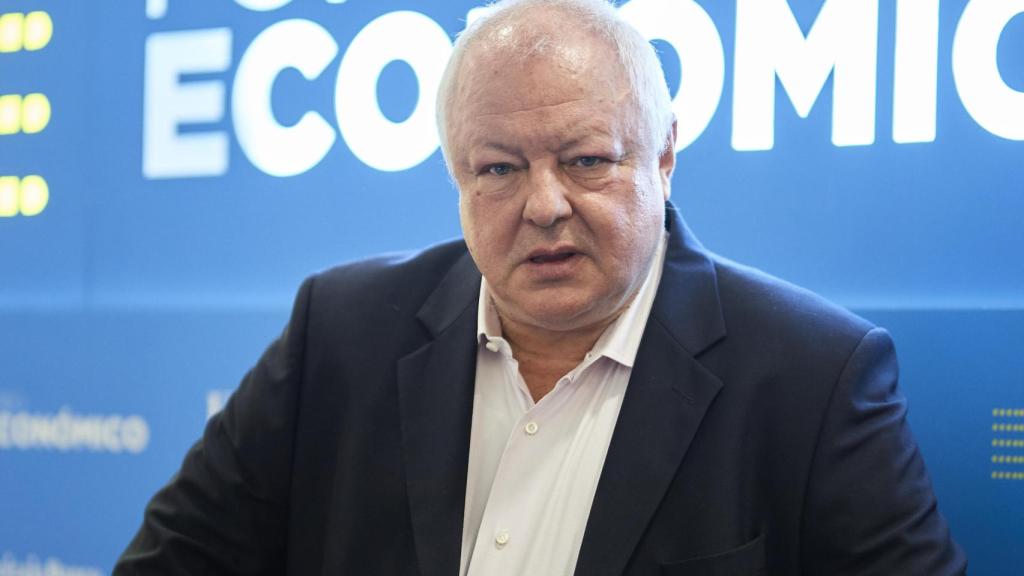 El director ejecutivo de la Fundación de Estudios de Economía Aplicada (FEDEA), Ángel de la Fuente