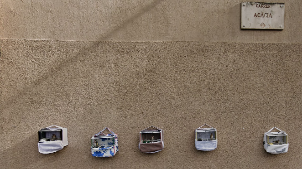 Calle Acacia del barrio Font de la Pólvora, en la que residía el presunto autor del tiroteo de la noche de Sant Joan