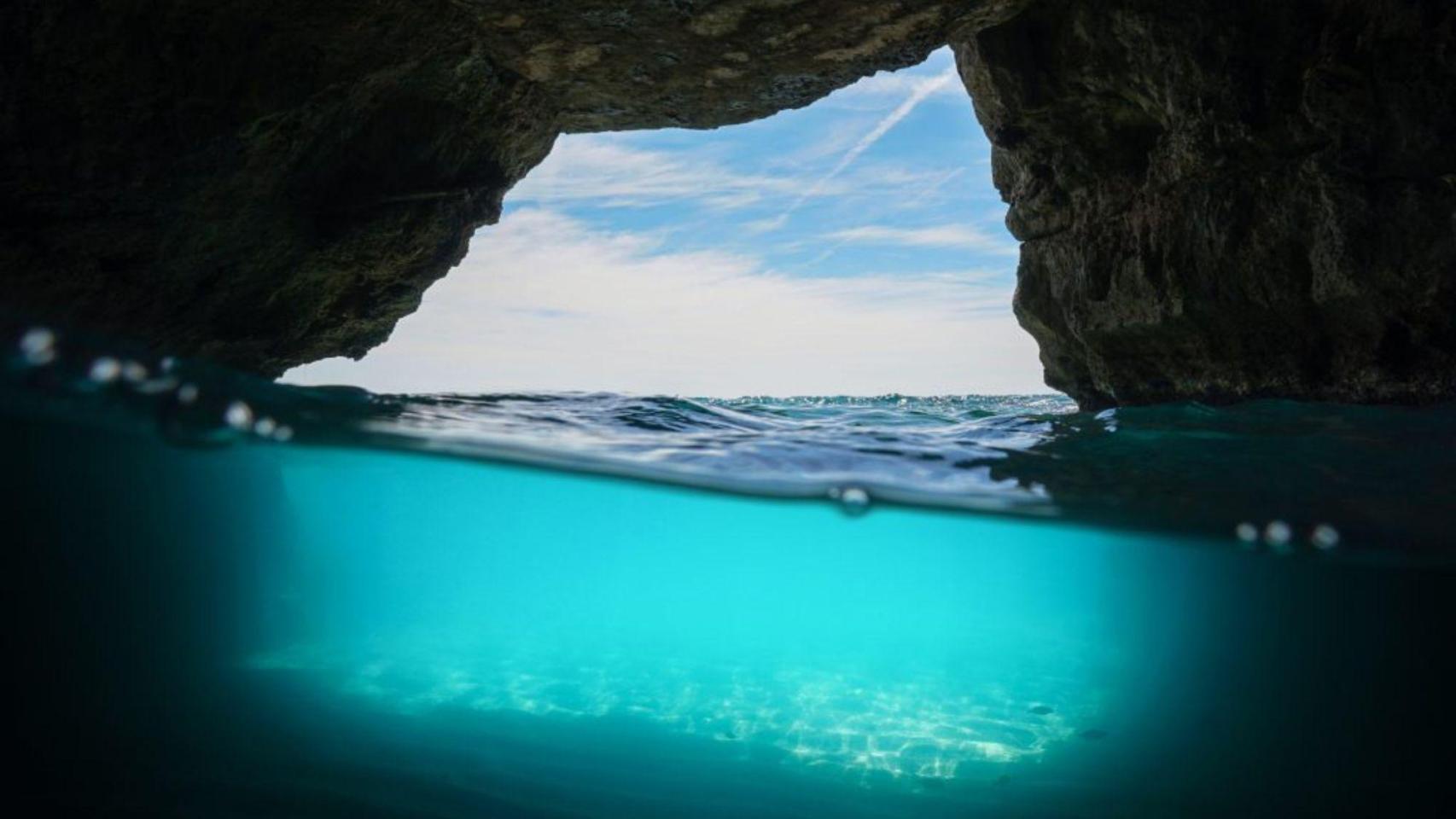 Cova del Llop Marí | Turismo Delta del Ebro