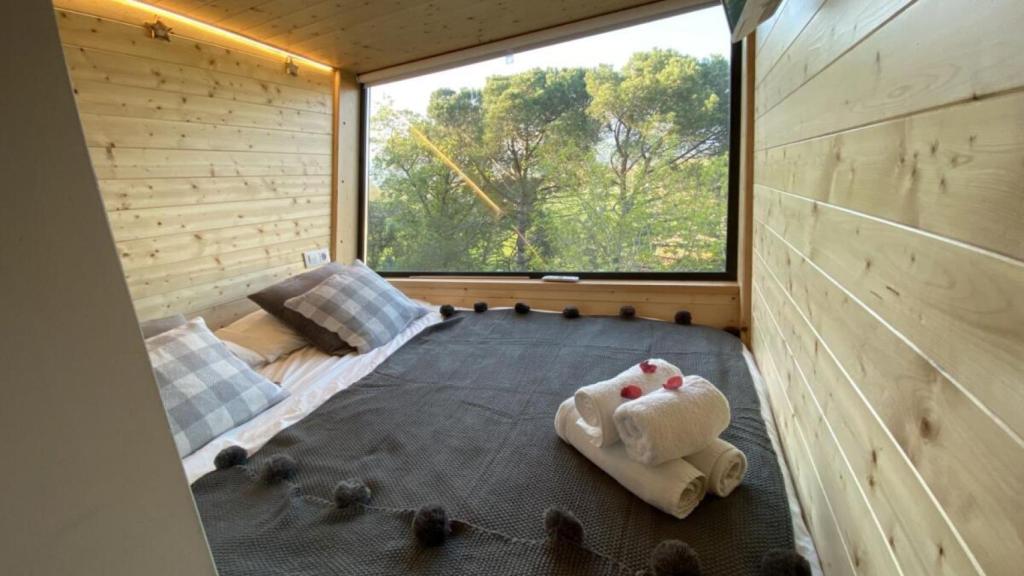 Interior Cabaña Dropbox