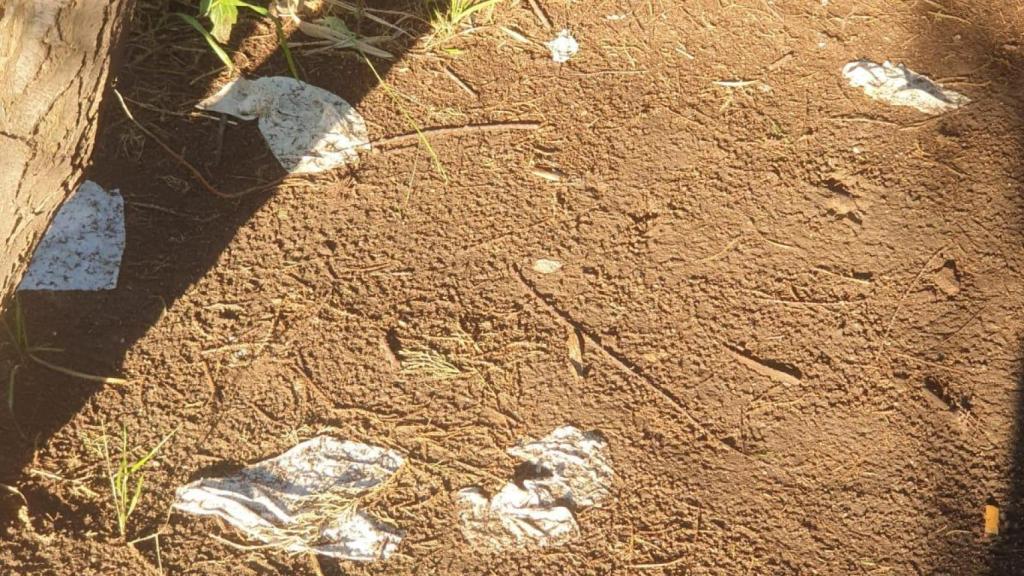 Suciedad en la ruta a la excursión a la desembocadura del Besòs