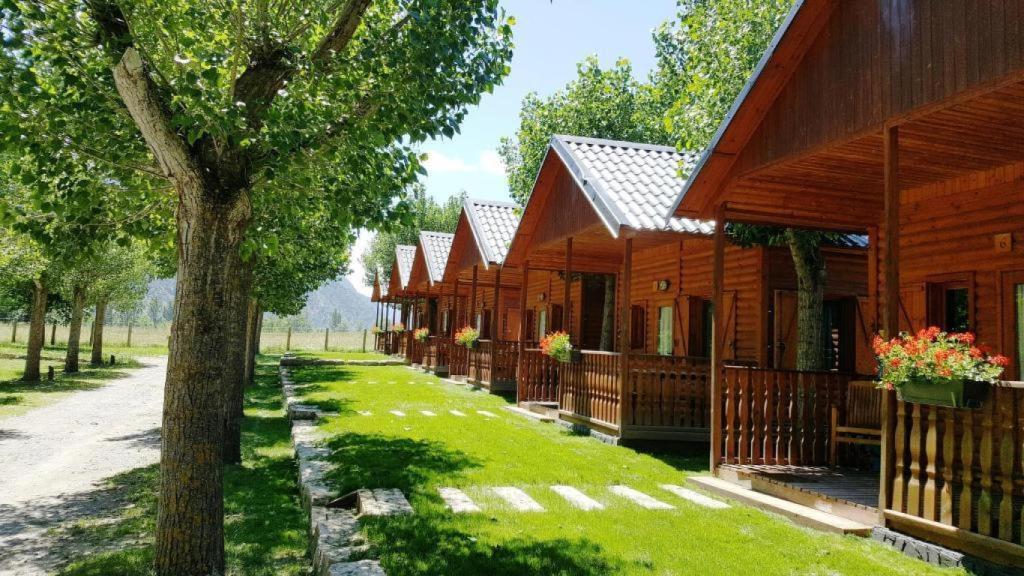 Bungalows de camping