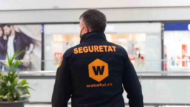 Vigilante de Seguridad de Wakeful