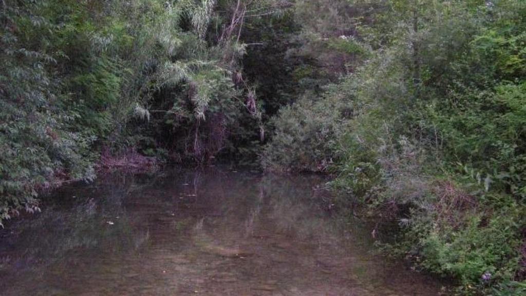 Reserva Natural Fluvial Riera de Borró