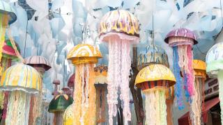 Banco de medusas de la calle Tordera del barrio de Gràcia 2024