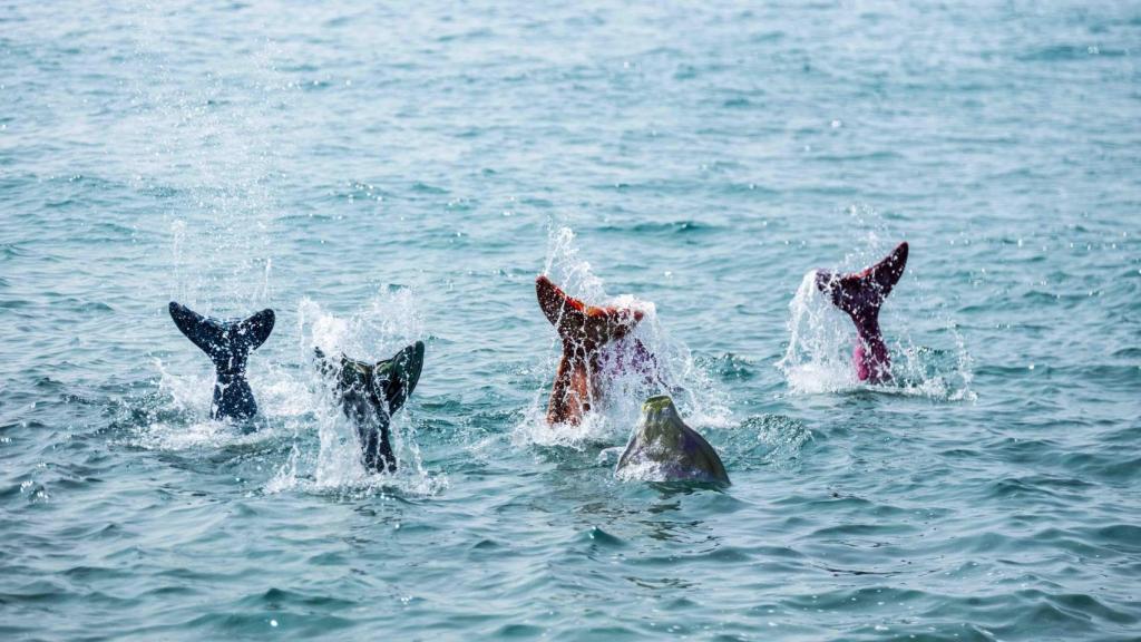 Unas sirenas en Tarragona
