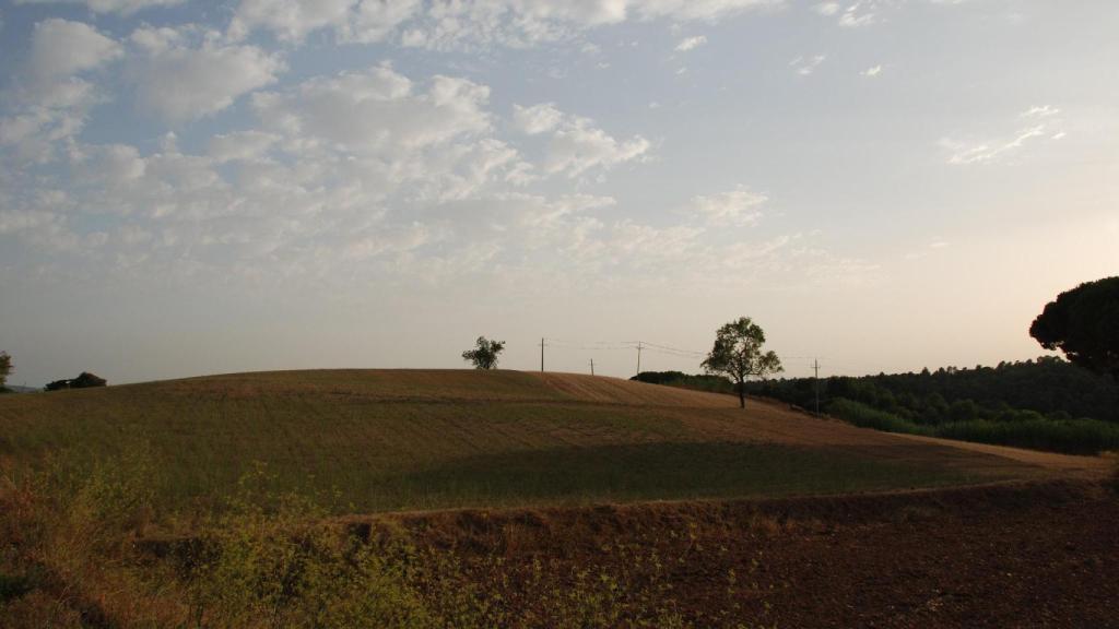 Capvespre a Cardedeu