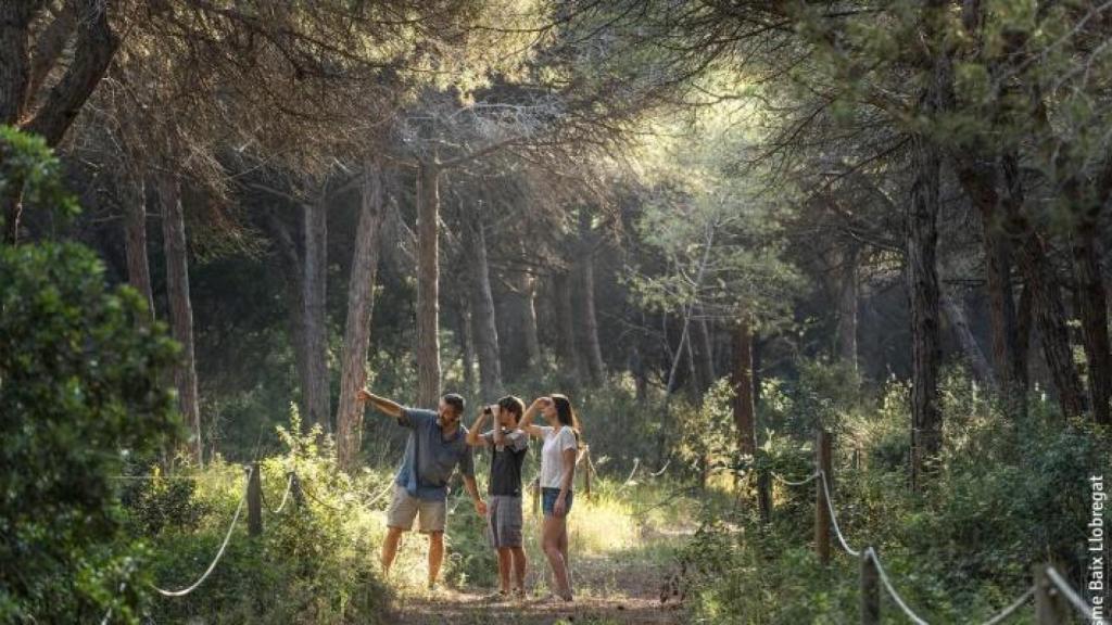 El bosque de Can Camins del Prat de Llobregat