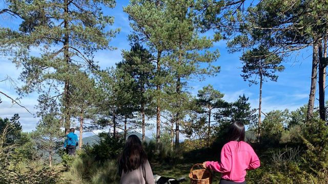 Un grupo de jóvenes buscando setas en el Montseny