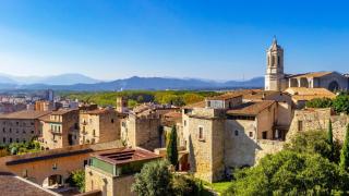 Añadir un título (48)