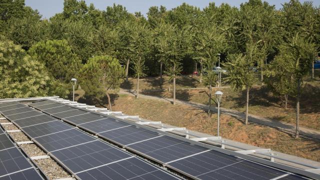 Instalación fotovoltaica sobre tierra