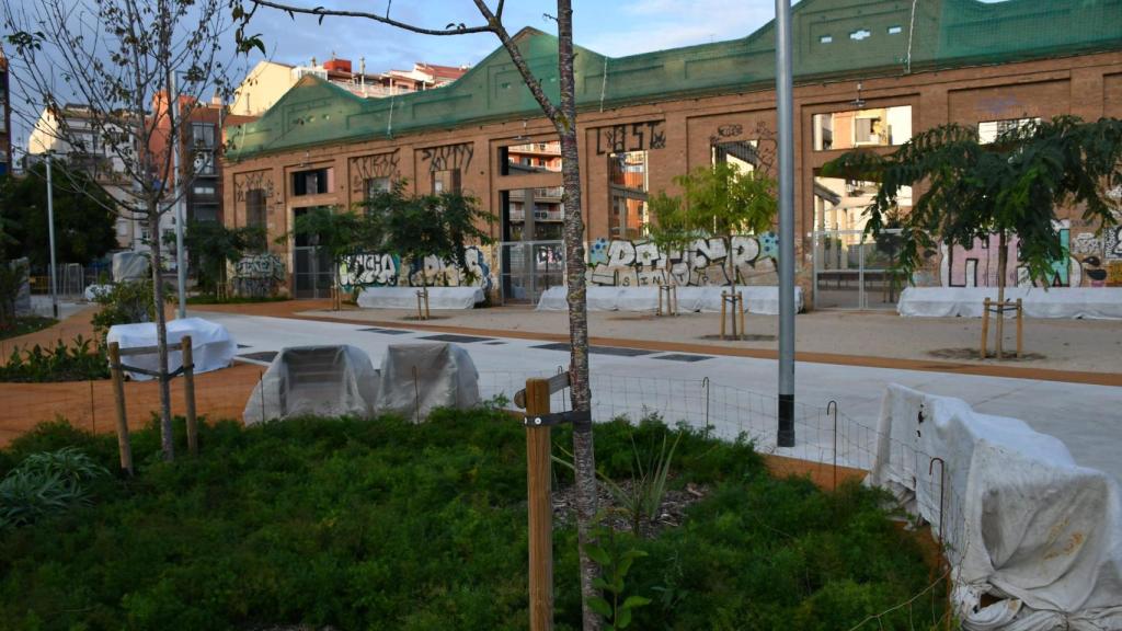 Zona verda del nou parc de La Bordeta