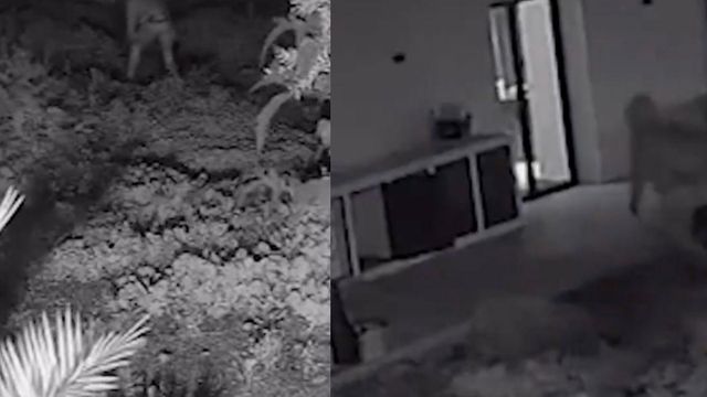 Pillados 'in fraganti' dos hombres mientras asaltaban viviendas en Sarrià