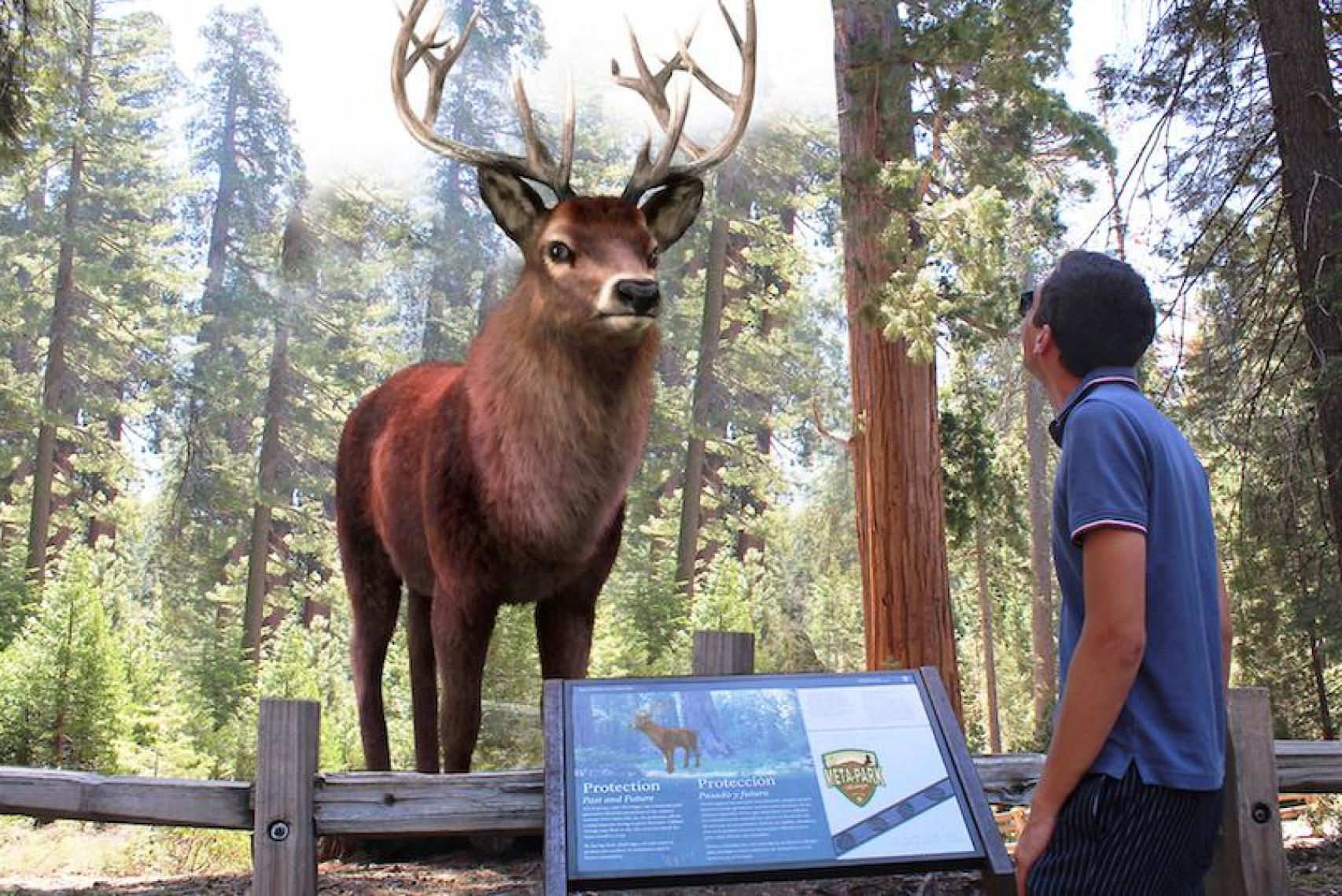 Un ciervo avistado con realidad aumentada en el Visitante del Meta Park World