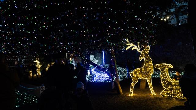 Bosc Encantat de Gavà