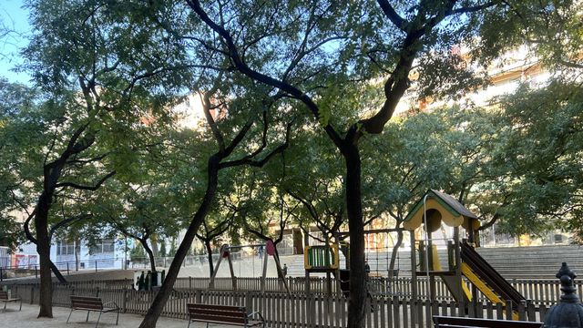 Parque de los jardines de Joana Tomàs, donde ocurrieron los hechos