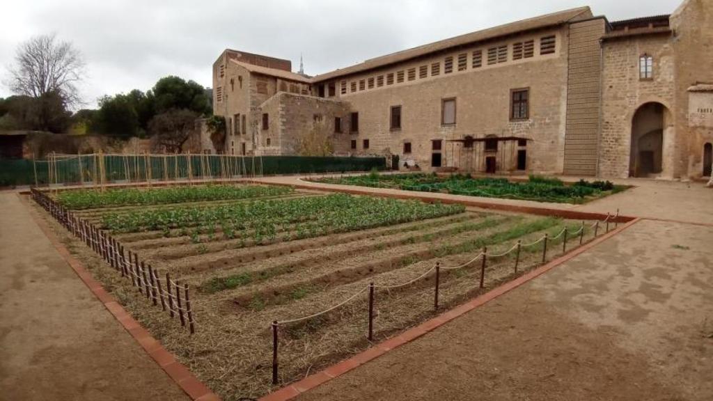 Hort del Monestir de Pedralbes