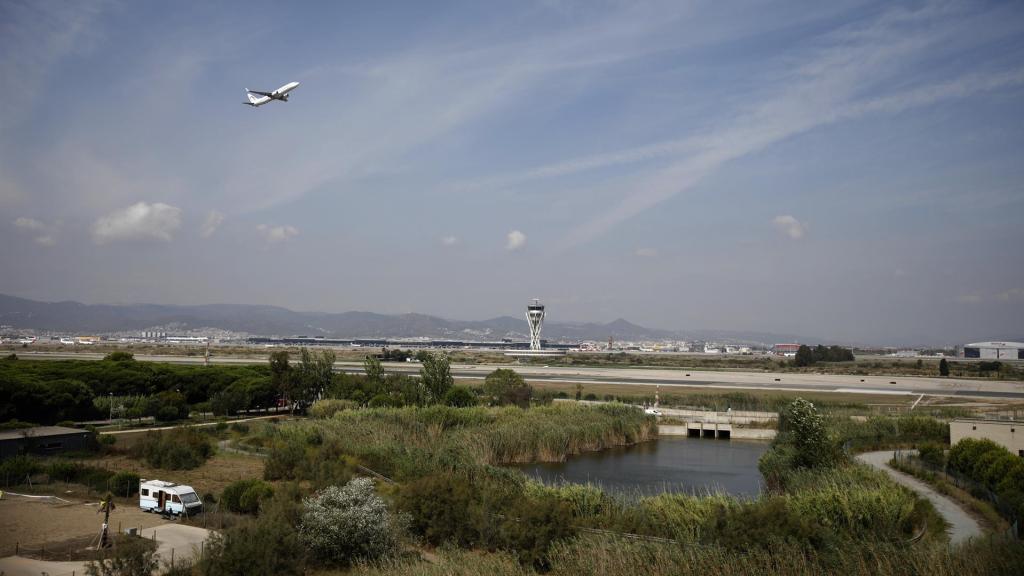 Un avión vuela por el espacio protegido de la Ricarda, en El Prat de Llobregat