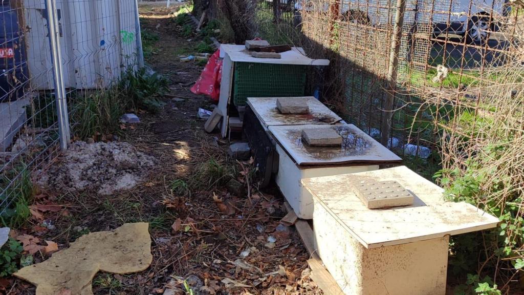 Part posterior del solar infestat per rates a La Verneda