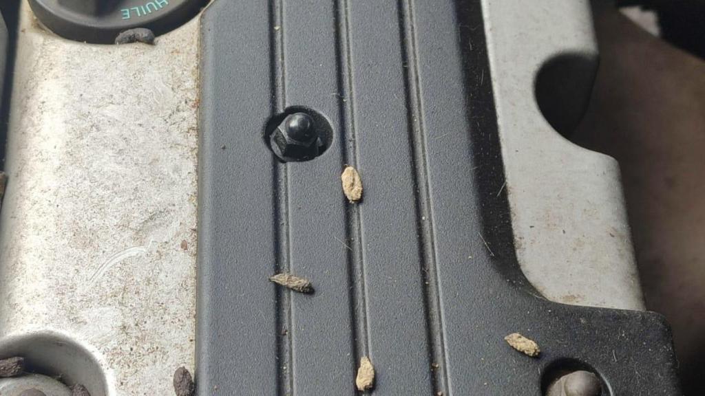 Excrements de rata als motors dels vehicles aparcats a La Verneda