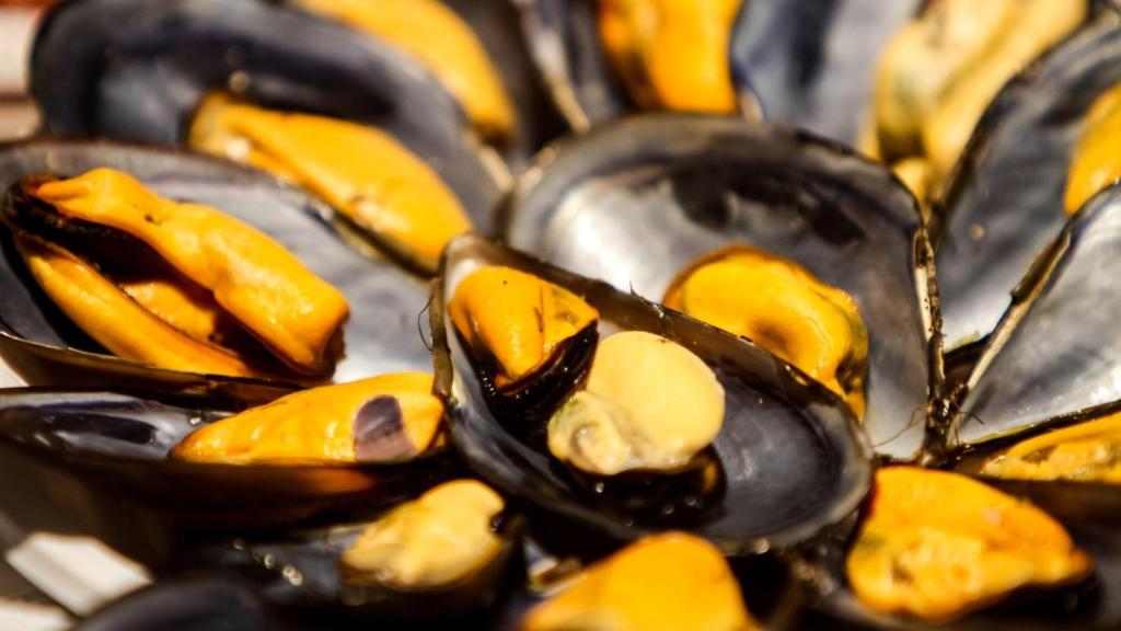 Mejillones