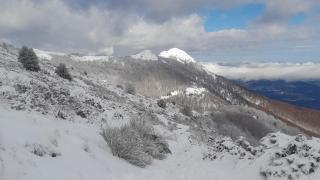 Imágenes de la nevada en el Montseny