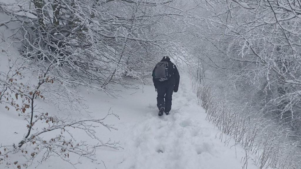 Imagen de la nevada en el Montseny en febrero