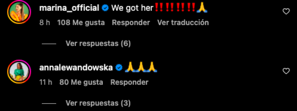 Captura de los comentarios del post Instagram que anuncia la desaparición de la perra de Szczesny