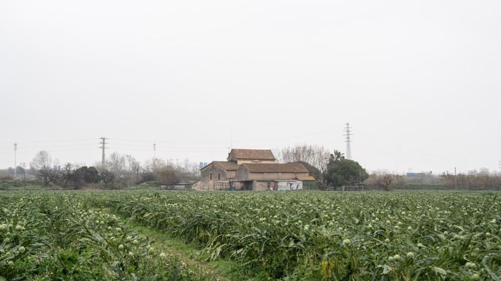 Interior del Parc Agrari al Prat de Llobregat