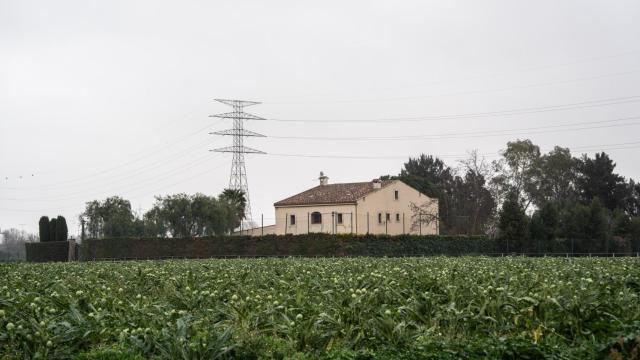 Una explotación agrícola en el Parc Agrari del Baix Llobregat